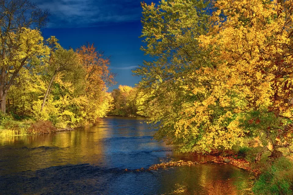 an artful photograph of the Thornapple River in the early fall
