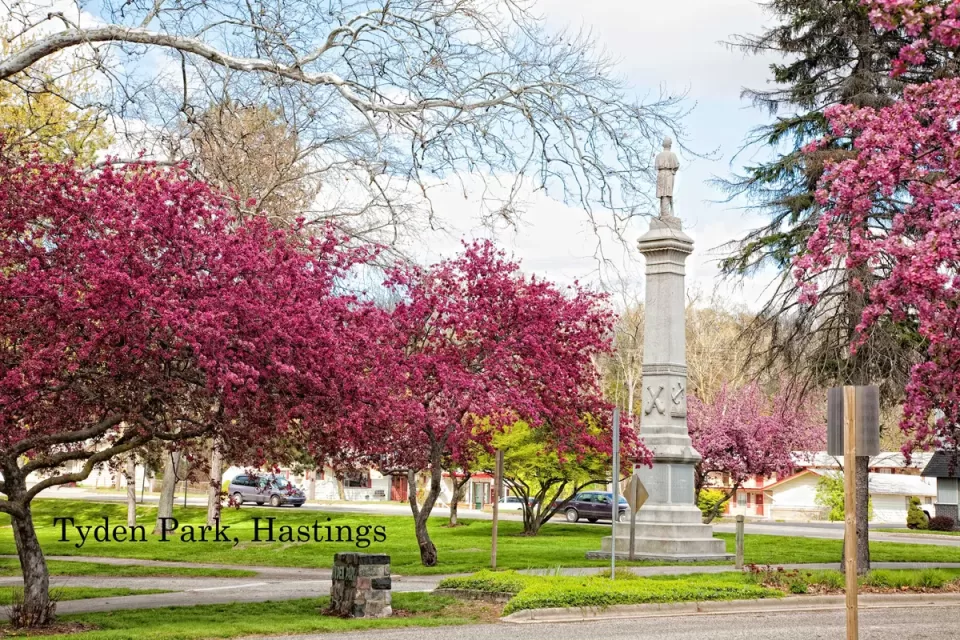 honor our local soldiers and sailors