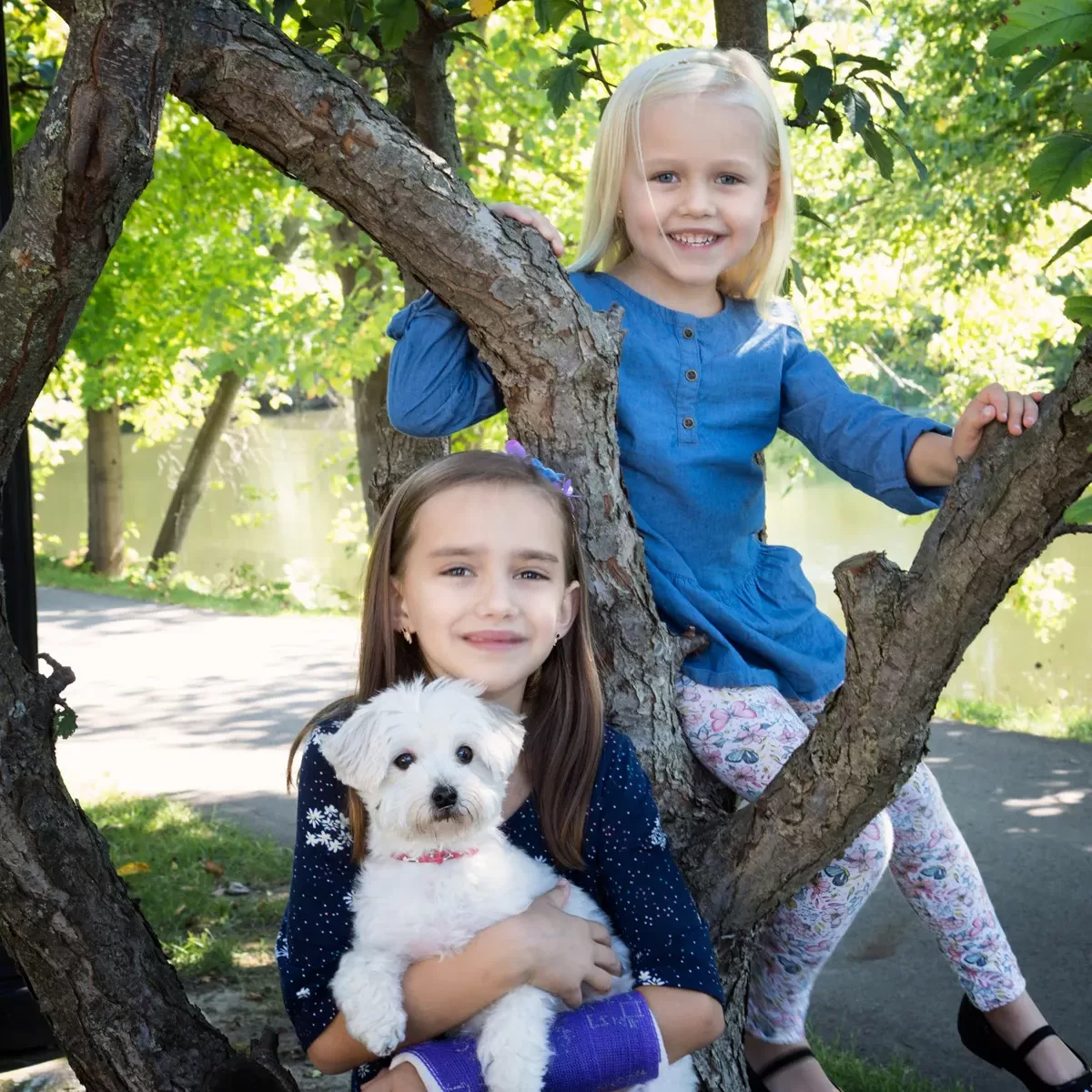 girls and puppy in a tree