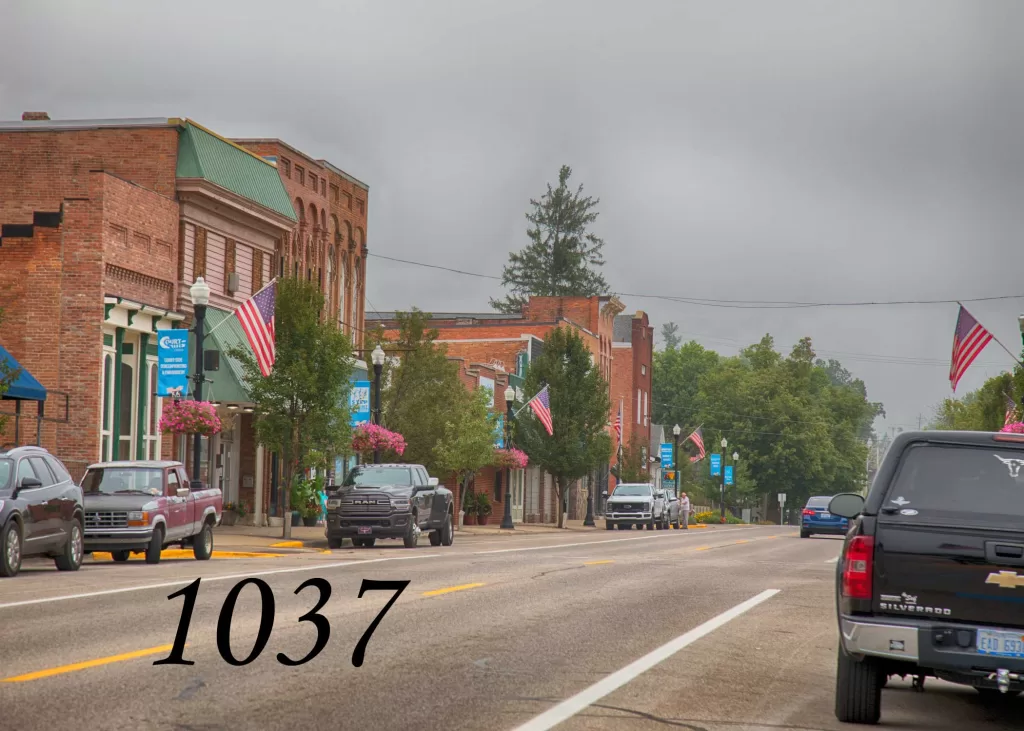 downtown Nashville, MI